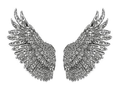 Kuş kanatları el çizilmiş. Beyaz arka planda yalıtılmış vektör çizimi