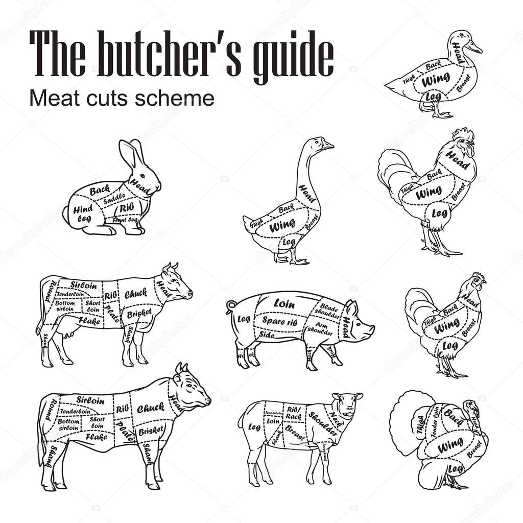 Meat symbols vector. Set of butcher cut schemes vintage. Illustration isolated on white