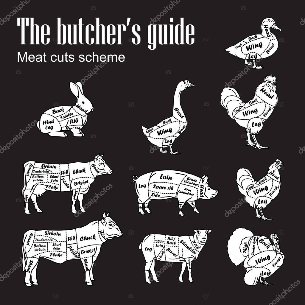 Meat symbols vector illustration on blackboard. Set of butcher cut schemes vintage.