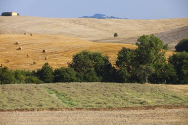 Val d 'Orcia, Siena, Toskana, Italya 