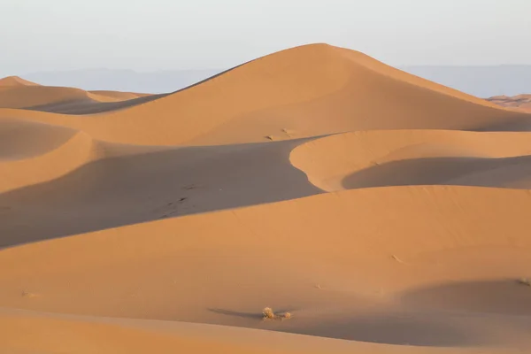 Morocco Sahara Desert Landscape — Stock Photo, Image