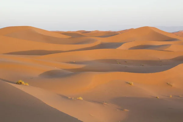Maroc Sahara Paysage Désertique — Photo