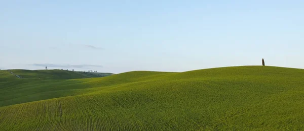 Val Orcia Σιένα Τοσκάνη Ιταλία — Φωτογραφία Αρχείου