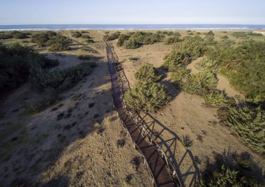 Viareggio 'daki Lecciona plajının havadan görünümü, Versilia, Toskana. 