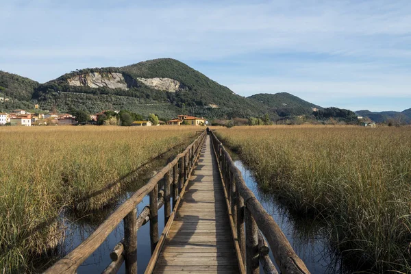 Massaciuccoli Gölü Glimpses Toskana — Stok fotoğraf