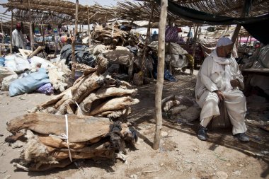 Zagora, DRA-Tafilalet/Fas,-Haziran 12 2013: Zagora Pazar Fas birkaç gerçekten otantik pazarları biridir. Burada para ek olarak herhangi bir öğe, Giysi, baharat veya gıda satın almak için takas kullanabilirsiniz.