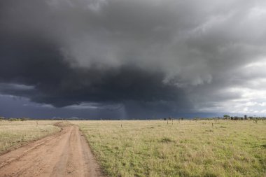 Yağmur, Serengeti Ulusal Parkı, Tanzanya, Afrika