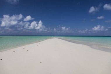 Fanjove Island, Hint Okyanusu, Tanzanya