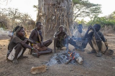 Eyasi Gölü, Arusha/Tanzanya-15 Ekim 2014: bir dakika içinde kabile, avın derileri ağaçlarda askıda kalıyorlar