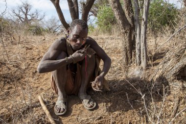 Eyasi Gölü, Arusha/Tanzanya-15 Oct 2014: Hadzabe çeşitli kökleri ve şifa amaçları için kullanılan bitkiler toplamak
