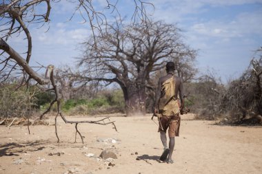 Eyasi Gölü, Arusha/Tanzanya-15 Oct 2014: Hadzabe adam avı sırasında