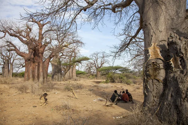 埃亚西湖 阿鲁沙 坦桑尼亚 2014年10月15日 部落在休息的时刻 猎物的皮肤挂在树上 — 图库照片