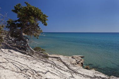 Kos Island'daki Quiet Beach, Yunanistan
