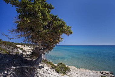 Kos Island'daki Quiet Beach, Yunanistan