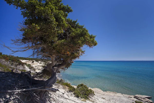 Kos Island'daki Quiet Beach, Yunanistan