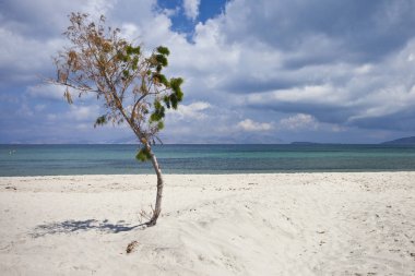 Mastichari Beach, Kos Island, Yunanistan