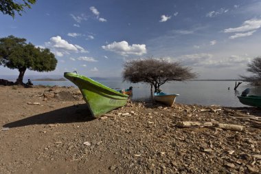 Kenya, Baringo Gölü 'ndeki manzara