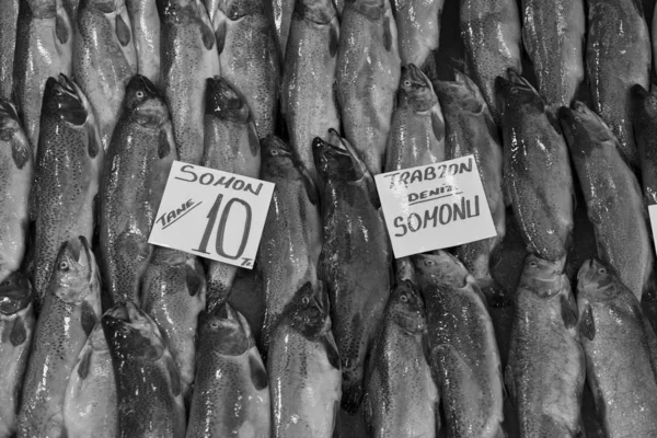 Karakoy Mercado Pescado Estambul Turquía —  Fotos de Stock