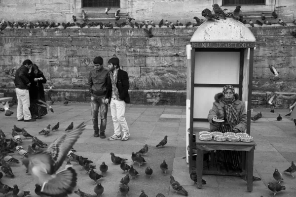 Domingo Por Mañana Estambul Vendedor Comida Para Pájaros — Foto de Stock