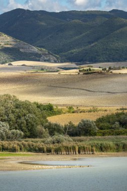 Panorama a Santa Luce, Valdera, Pisa, Toscana, İtalya