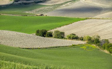 Panorama a Santa Luce, Valdera, Pisa, Toscana, İtalya