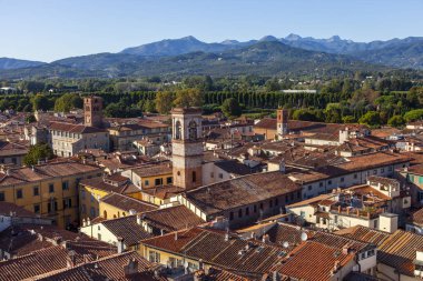 Lucca, panorama del centro storico dall 'alto
