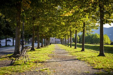 Lucca, Toscana: passeggiata sulle mura storiche