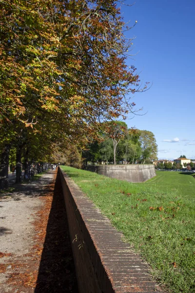 Lucca Autunno Sulle Antiche Mura Monumentali — Stock Photo, Image