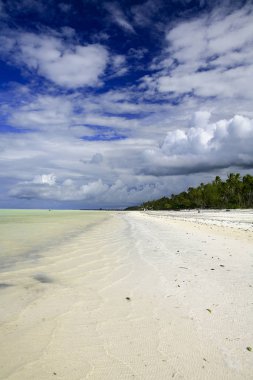Kiwengwa Uçurtma Sahili, Zanzibar