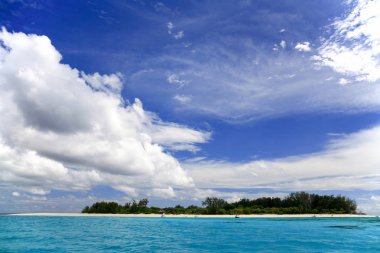 Mnemba Adası mercan adası, Zanzibar