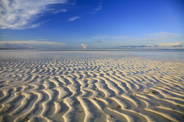 Kiwengwa Uçurtma Sahili, Zanzibar