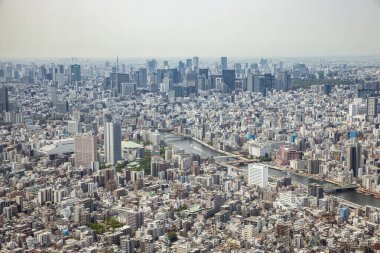 Tokyo vista dalla torre Tokyo Gökyüzü Ağacı 