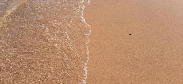 Fuerteventura, Kanarya Adaları sahilinde sarı kum ve şeffaf su