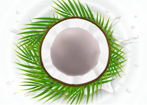 Nefunkční kokosové mléko stříkající — Stockový vektor