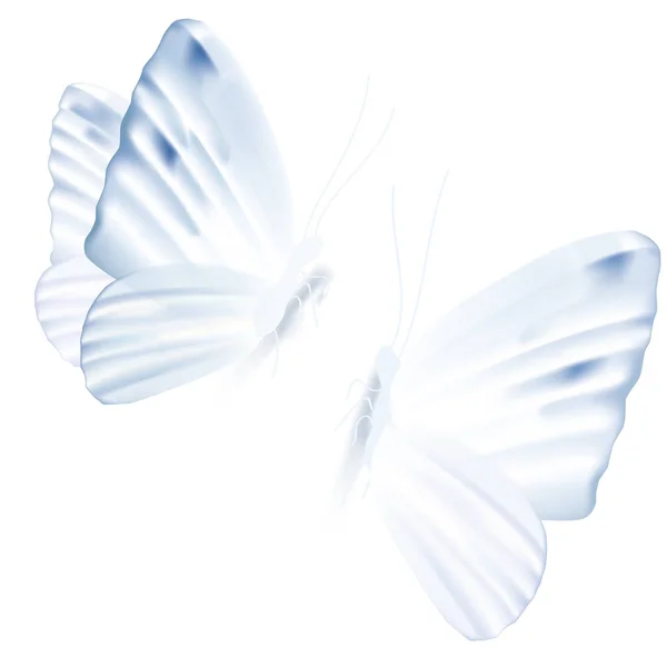 Ilustración vectorial de dos mariposas azul claro — Vector de stock