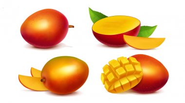 Mango bütün ve dilimlenmiş gerçekçi vektör