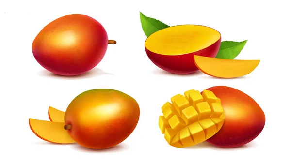 Mango entero y en rodajas vector realista — Vector de stock