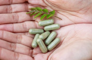 Bitkisel ilaç toz el, sağlıklı beslenme kavramı Kapsüller 