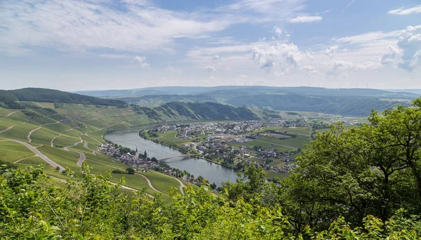 Piesport Panorama Sobre Mosela Alemania — Foto de Stock