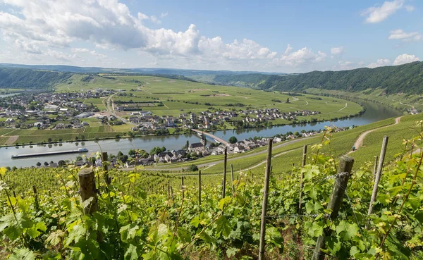 Piesport Panorama Moselle Almanya.