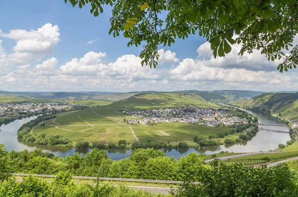 Mozela Pętli Mieście Trittenheim Panorama Niemcy — Zdjęcie stockowe