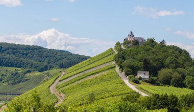 Marienburg Mosel Almanya Prinzenkopf üzerinde.