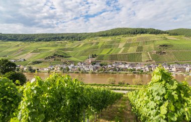 Merl'i Mosel Almanya.