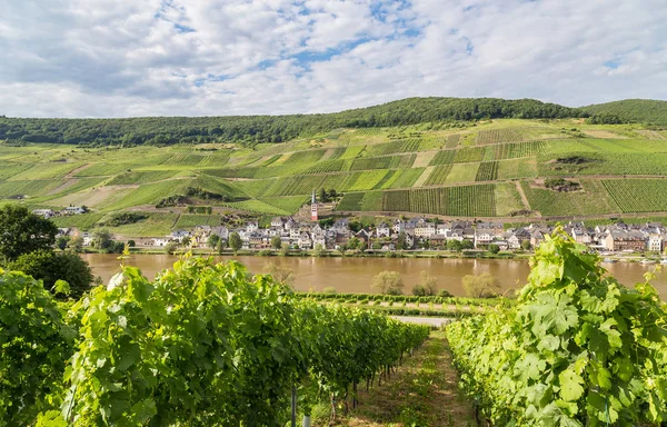 Merl'i Mosel Almanya.