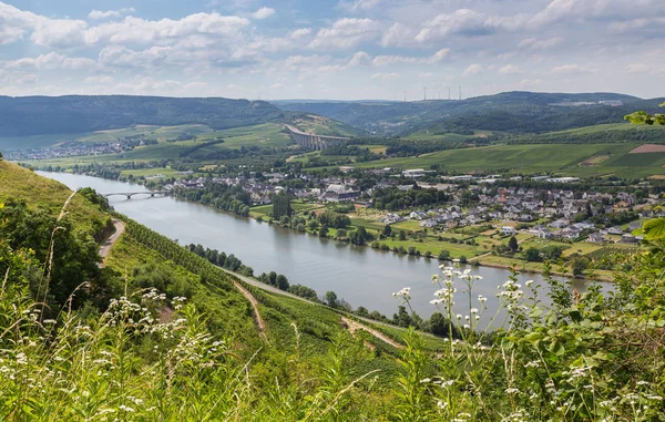 Longuich Moselle Germany Europe — Stock Photo, Image