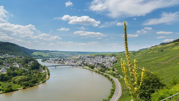 Mehring Moselle Germany Europe — Stock Photo, Image