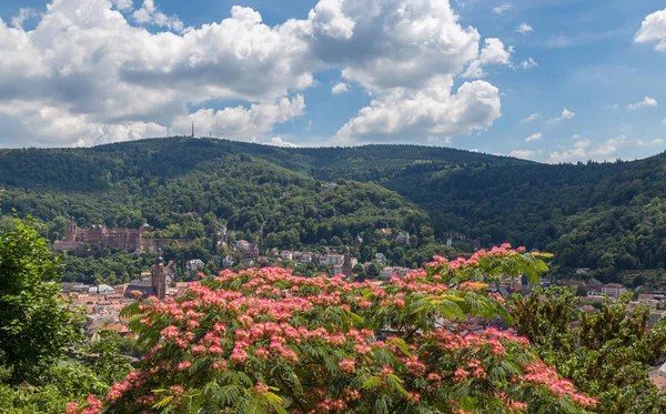 Heidelberg Panorama Baden Wurttemberg Tyskland — Stockfoto