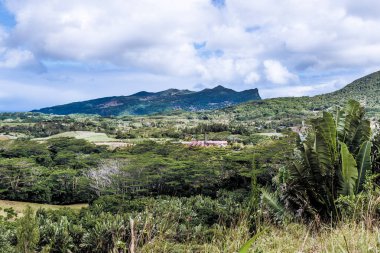 Chamarel tarlaları ile ROM fabrika Plaine şampanya Mauritius.