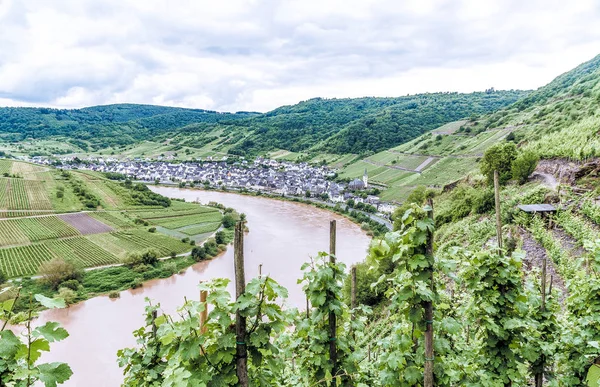 Calmont Ferrata Bij Bremm Panorama Duitsland — Stockfoto