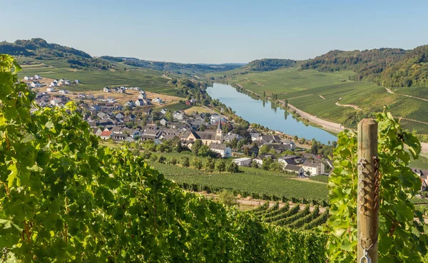 Nittel Mosel Germany Europe — Stock Photo, Image